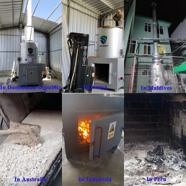 TLFS-20 20kg medical waste clinical waste incinerator for hospital garbage treatment